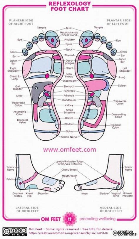 How To Massage Facial At Home Yourself Reflexology Chart Reflexology Foot Chart Foot Reflexology