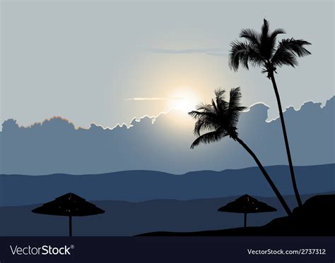 A Tropical Early Morning Sunrise With Palm Trees Vector Image