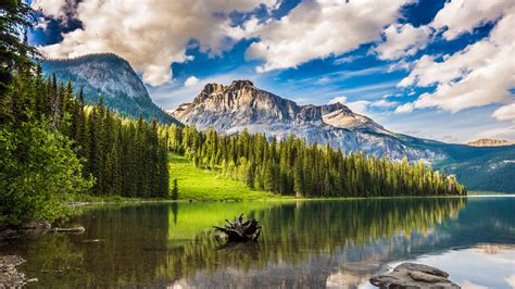 Download Wallpaper 3840x2160 Mountains Forest Lake Snag 4k Uhd 169