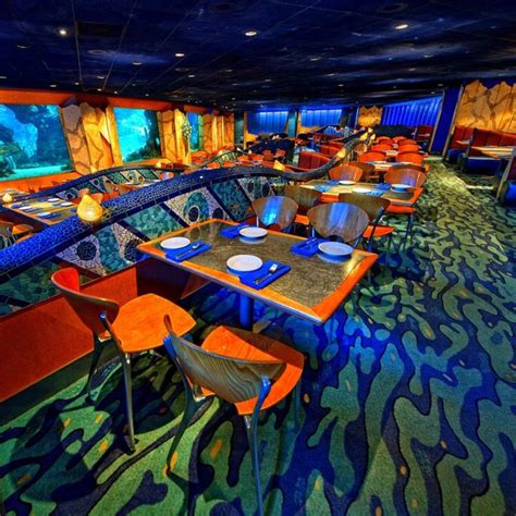 Best Restaurants in Walt Disney World | Disney world, Walt disney world