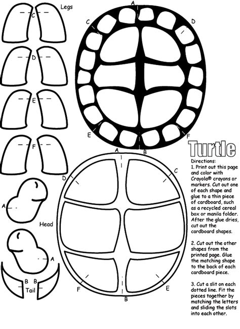 Turtle Shell Pattern Coloring Page Sketch Coloring Page