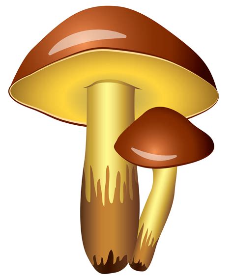 Cartoon Mushroom Png Free Logo Image Porn Sex Picture