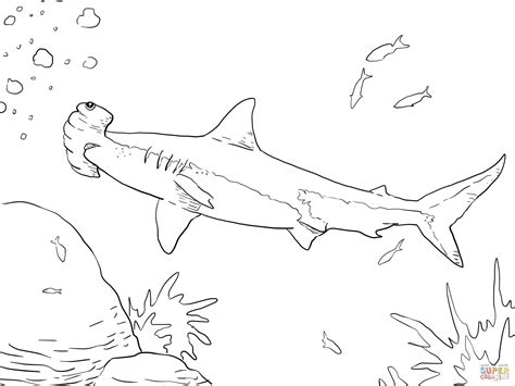 Great Hammerhead Shark Coloring Page Free Printable Coloring Page