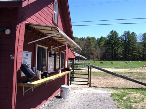 This Charming New Hampshire Farm Has Ice Cream And A Petting Zoo New