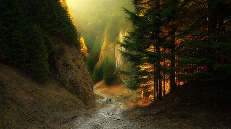 Canyon Path Forest Sunlight Mountains Nature Sunset Landscape