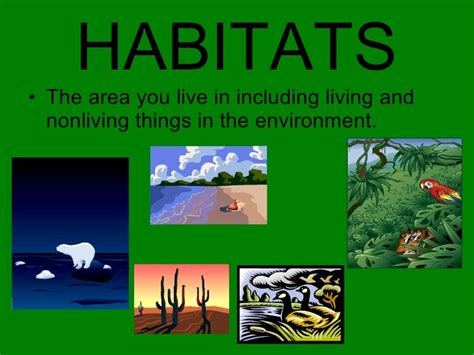 Habitats And Environment