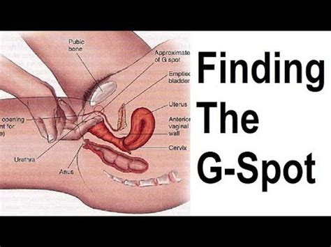 Raha Kusugua G Spot Btc How To Find Your G Spot Part 1 Youtube Some People Think That It Is A Myth Others That It Is A Button