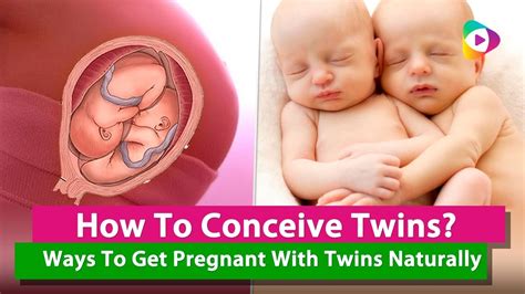 How To Conceive Twins A Quick Guide On How To Have Twin Babies Youtube