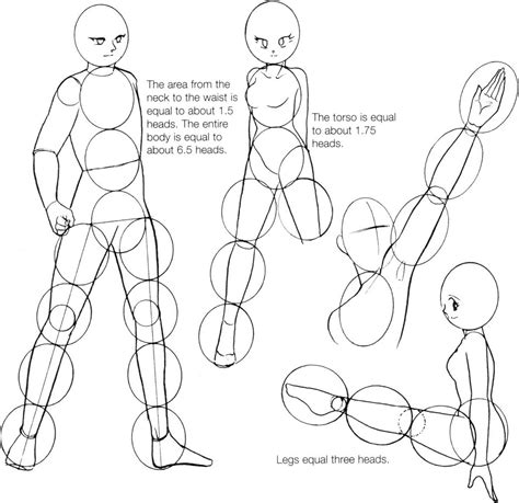 Anime Body Templates For Drawing At Getdrawings Free