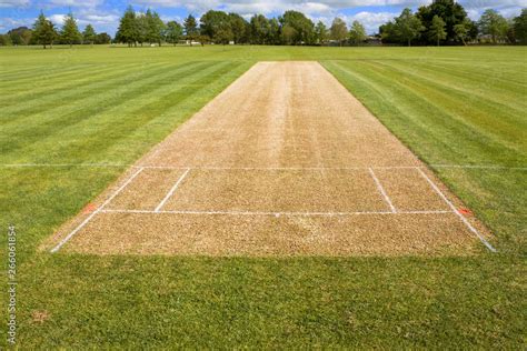 Cricket Pitch Sport Grass Field Empty Background Stock Photo Adobe Stock