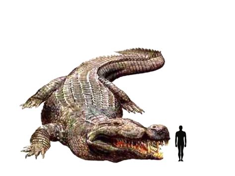 Image Deinosuchus Siejpeg Dinopedia Fandom Powered By Wikia