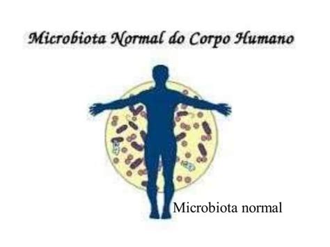 Microbiota Normal Do Corpo Humano Ppt