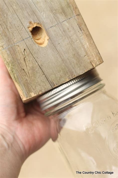 Learn How To Make Your Own Carpenter Bee Trap Carpenter Bee Trap