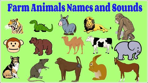 Learn Farm Animals Names And Sounds Learn Animals Names
