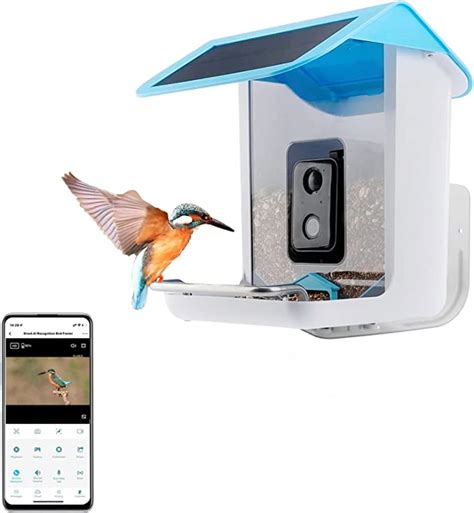 Smart Bird Feeder Camera Wifi Outdoor Bird Feeder With Solar Smart Ai