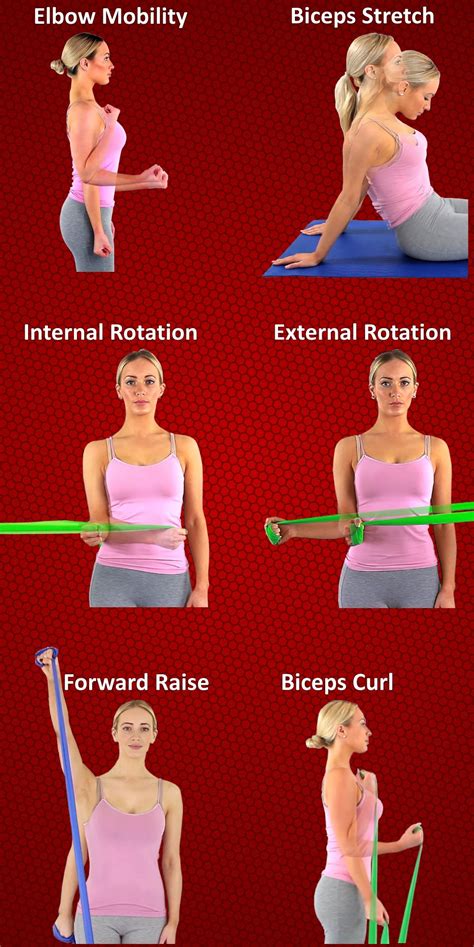 Biceps Tendonitis Exercises Pdf Uk Tuyet Raines