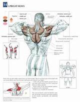 Muscle Over Workout Pictures