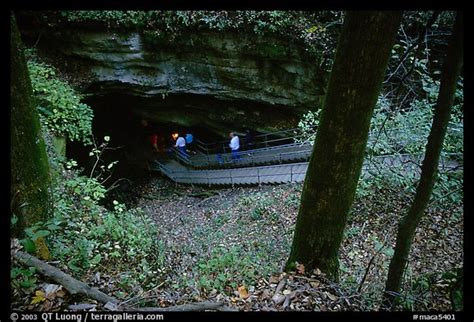 Picturephoto Historic Entrance Of The Cave Mammoth Cave National Park
