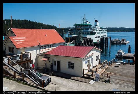 Picturephoto Ferry At Terminal Orcas Island Washington