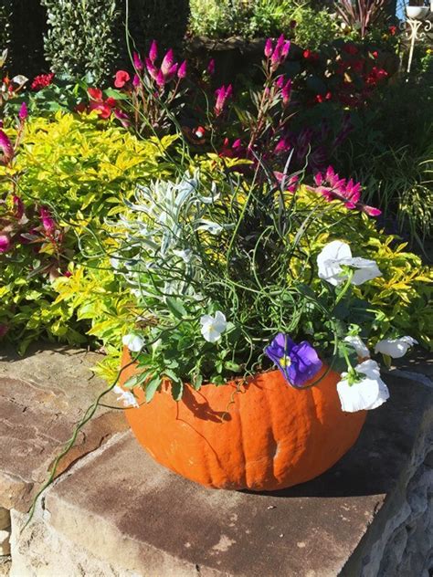 Make Your Own Pumpkin Planter This Fall