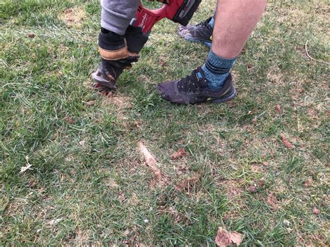 Maybe you would like to learn more about one of these? Pin on Tree roots