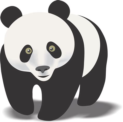 Adorable Baby Panda Bear Eating Bamboo Royalty Free Clipart Image
