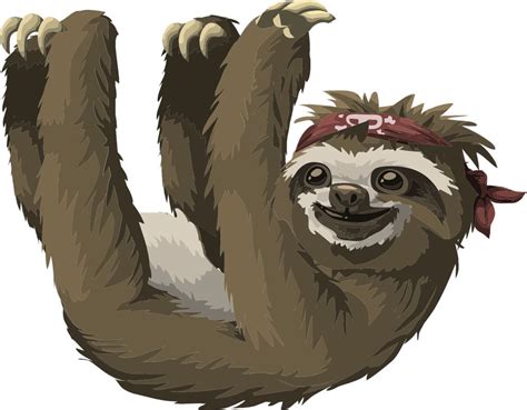 Sloth Cartoon Sloth Stuffed Animal Sloth Art Sloth Cartoon