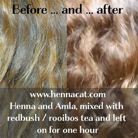 Henna For Hair Beautiful Strawberry Blonde Using Hennacat Amla And