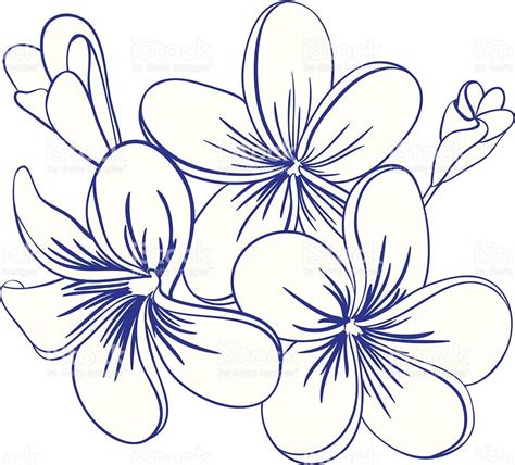 Pin By Marquis Pinaula On Flower Tattoo Flower Line Drawings Flower