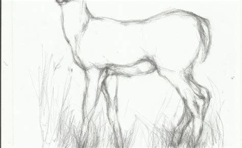 How To Draw Deer With Pencil Sketch Sceneryhow To Draw Forest