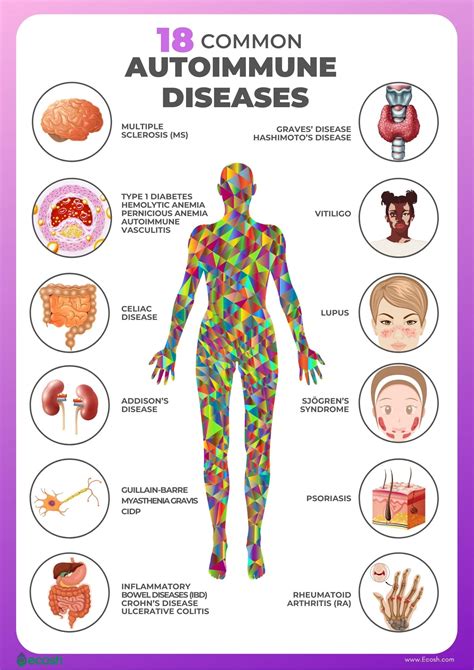 Autoimmune Diseases Causes Risk Factors And The List Of 18 Most