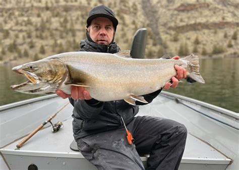 Potential Record Bull Trout Caught And Released In Lake Billy Chinook