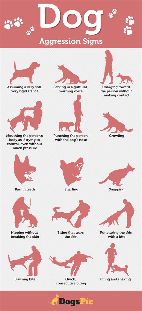 Dog Aggression Signs Infographic Dog Aggressions Infographic