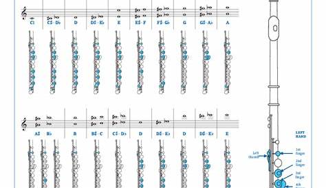 2024 Flute Fingering Chart Template - Fillable, Printable PDF & Forms