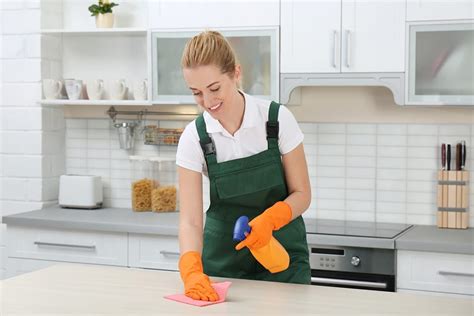 Advantages Of Kitchen Cleaner For Grease In Home Seaworthy Sys