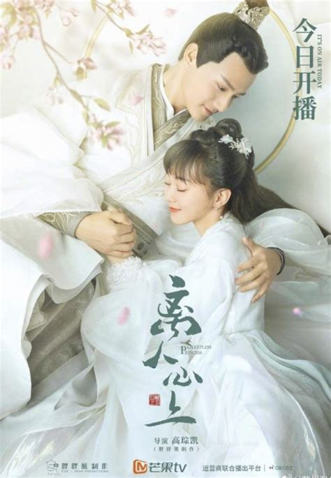 The Sleepless Princess 2020 Synopsis Chinese Historical Drama Corner