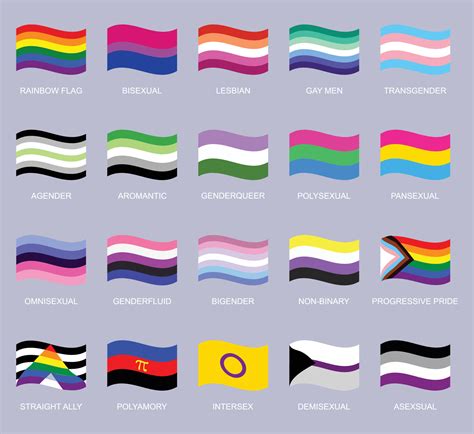 A Collection Of Flags That Say Pride And Equality 22758707 Vector Art