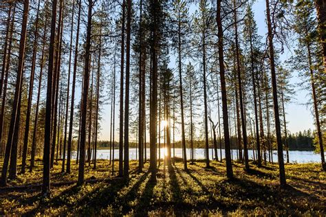 11 Reasons To Visit Finland This Summer