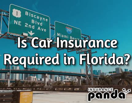 We're also happy to replace canceled insurance, reinstate revoked plates, and help you finance your premium. Is Car Insurance Required in Florida? - Florida Car Insurance Laws