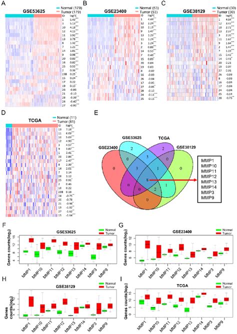 Differential MMP Expression Analysis Between Tumor And Normal Tissues
