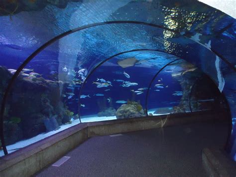 Henry Doorly Zoo In Omaha Nebraska Features The Worlds Largest