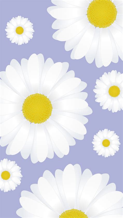 White Daisy Wallpaper Daisy Wallpaper Daisy Background Pretty