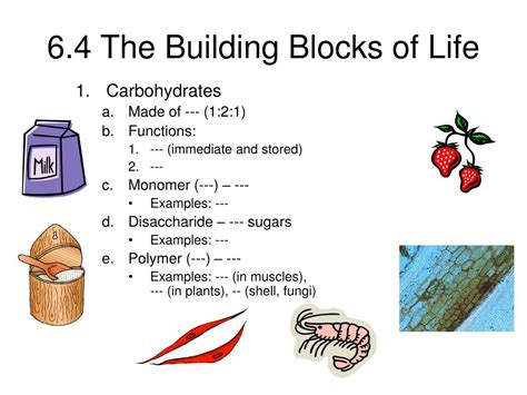Ppt 64 The Building Blocks Of Life Powerpoint Presentation Free