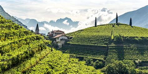 Guide To Alto Adige Best Wines Where To Buy In The Uk Winemaking Areas