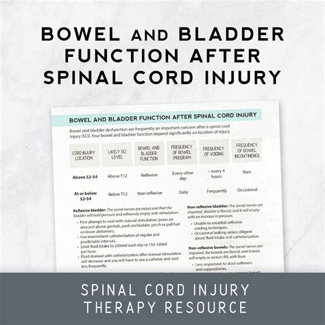 Bowel And Bladder Function After Spinal Cord Injury Therapy Insights