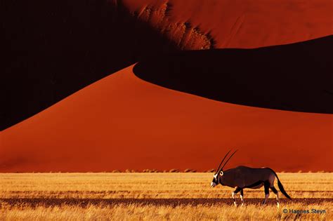Wallpaper Africa Red Nature Animals Canon Sand 2000 Desert