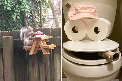 18 Amazing Things That Went Viral During This Quarantine Gonetrending