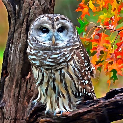 Modern Art Barred Owl Tree Autumn Landscape Abstract Art Print Etsy