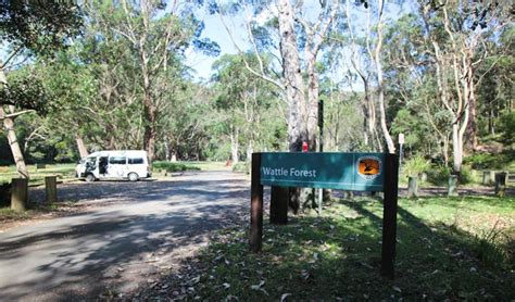 Wattle Forest Picnic Area Nsw National Parks