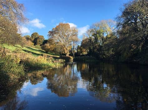 I'll make up the bed in your. Old Sneed Park Nature Reserve - Bristol dog walk - Bristol ...